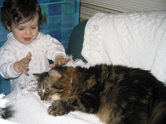 Un enfant et un chat — Hôpital Vétérinaire Duvernay