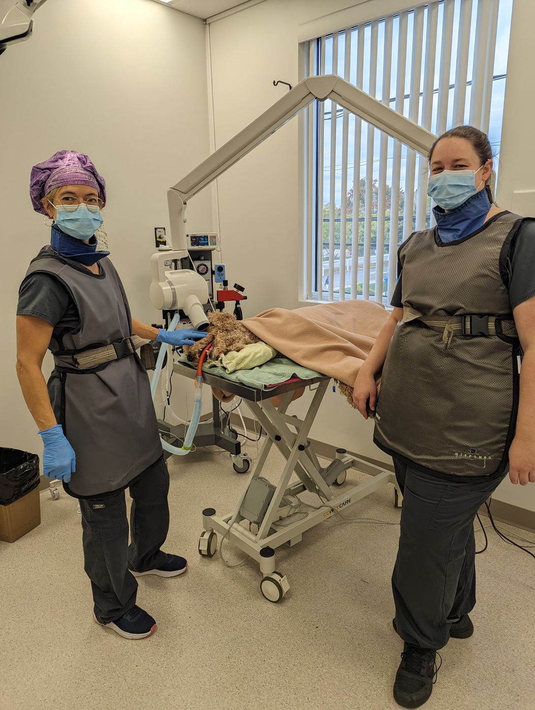 Notre équipe — Hôpital Vétérinaire Duvernay
