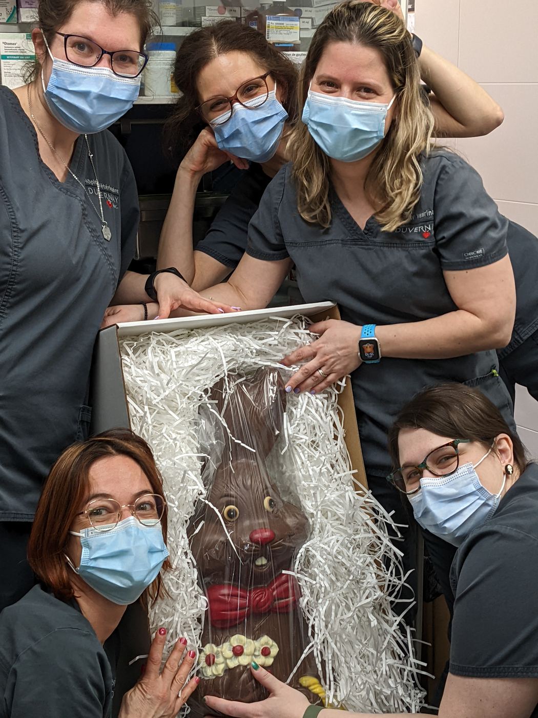 Événements — Hôpital Vétérinaire Duvernay