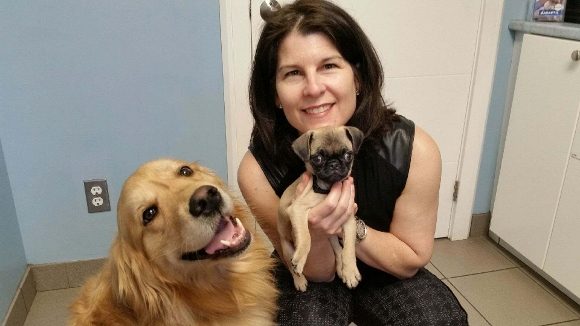 Dre Nathalie Tremblay et ses chiens — Hôpital Vétérinaire Duvernay