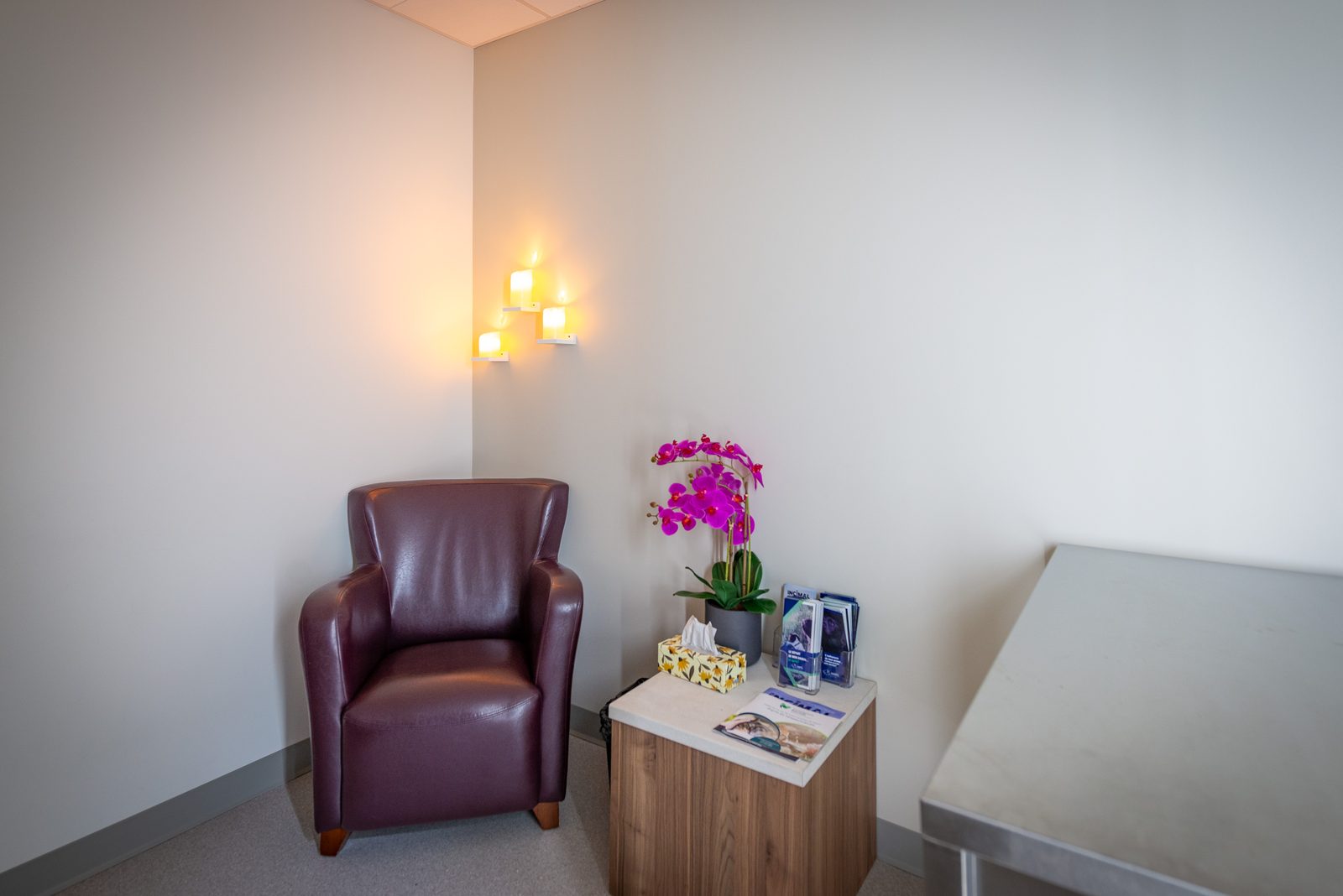 Salle de recueillement — Hôpital Vétérinaire Duvernay