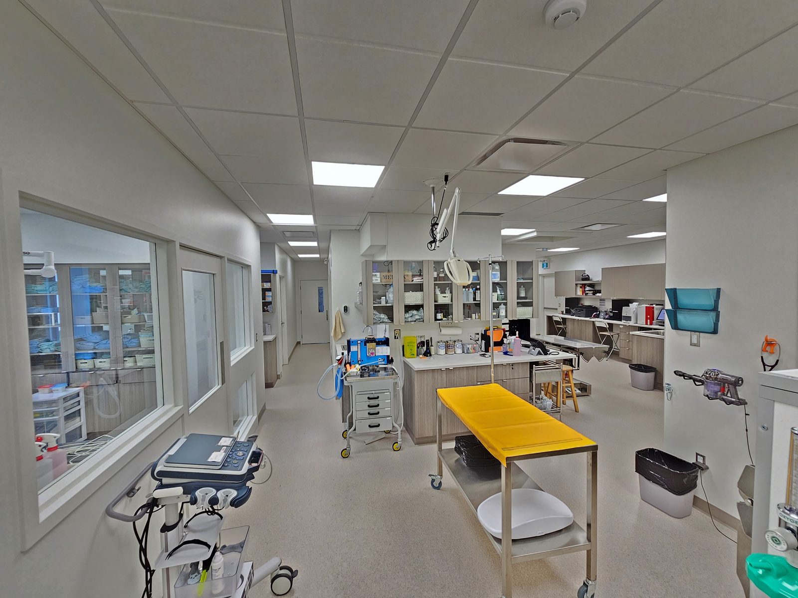 Salle pré-opératoire — Hôpital Vétérinaire Duvernay
