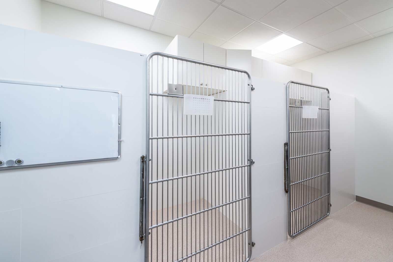 Chenil — Hôpital Vétérinaire Duvernay