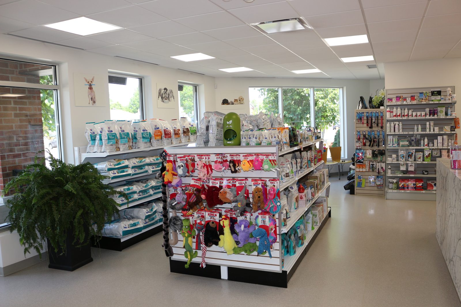 Boutique — Hôpital Vétérinaire Duvernay