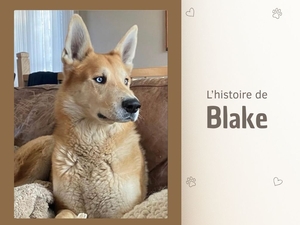 Blake’s story