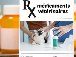 Over-the-counter veterinary medications