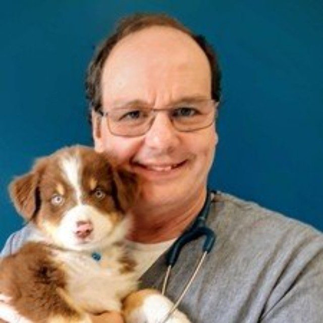 Dr Alejandro Roffo, d.m.v.